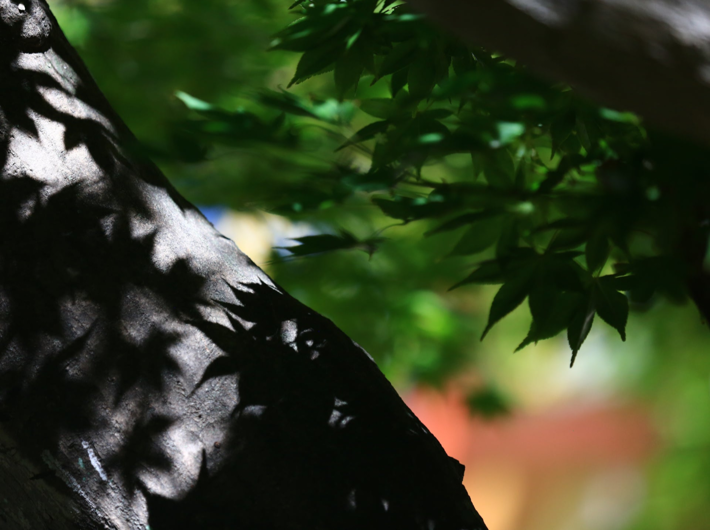 네이버 밴드(산림소식통)